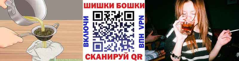 Купить где  Красноармейск  Canna-Cookies конопля 