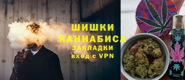 молекула духа Богородск