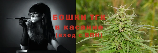 молекула духа Богородск