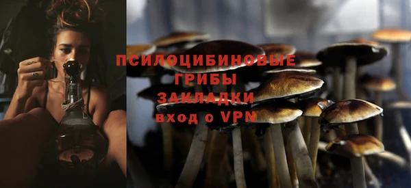 молекула духа Богородск