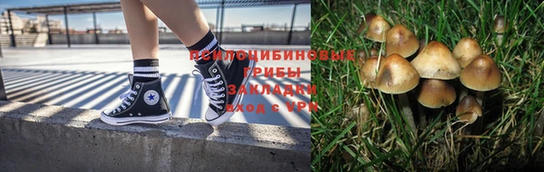 таблы Богданович