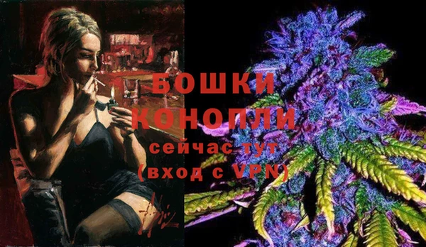 молекула духа Богородск