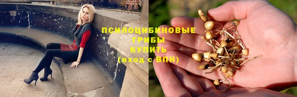 каннабис Бородино