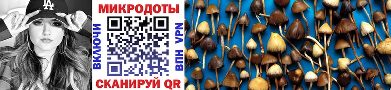 Купить закладки  Красноармейск  Псилоцибиновые грибы Magic Shrooms 